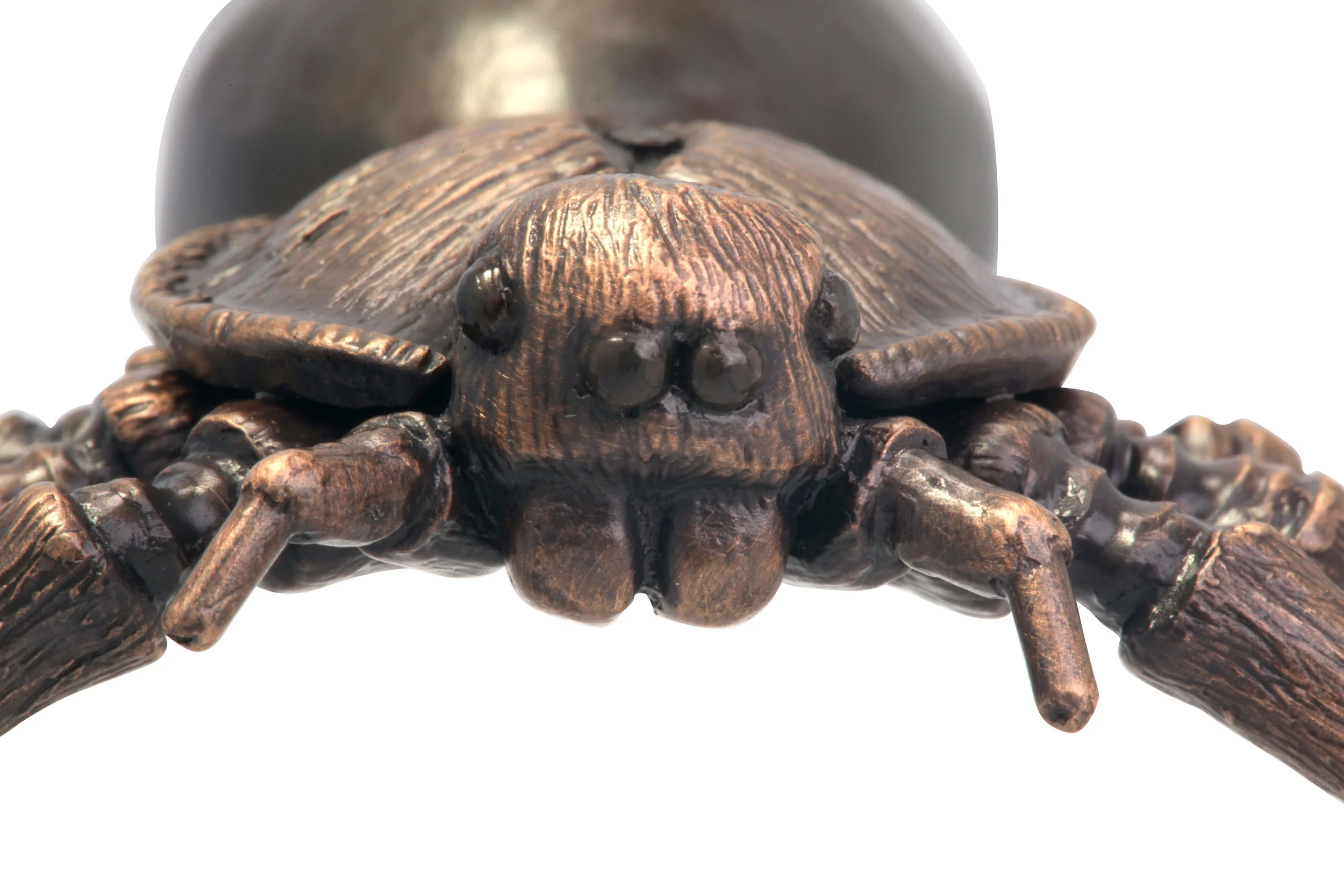 Aripotch Brown Recluse Detail.jpg