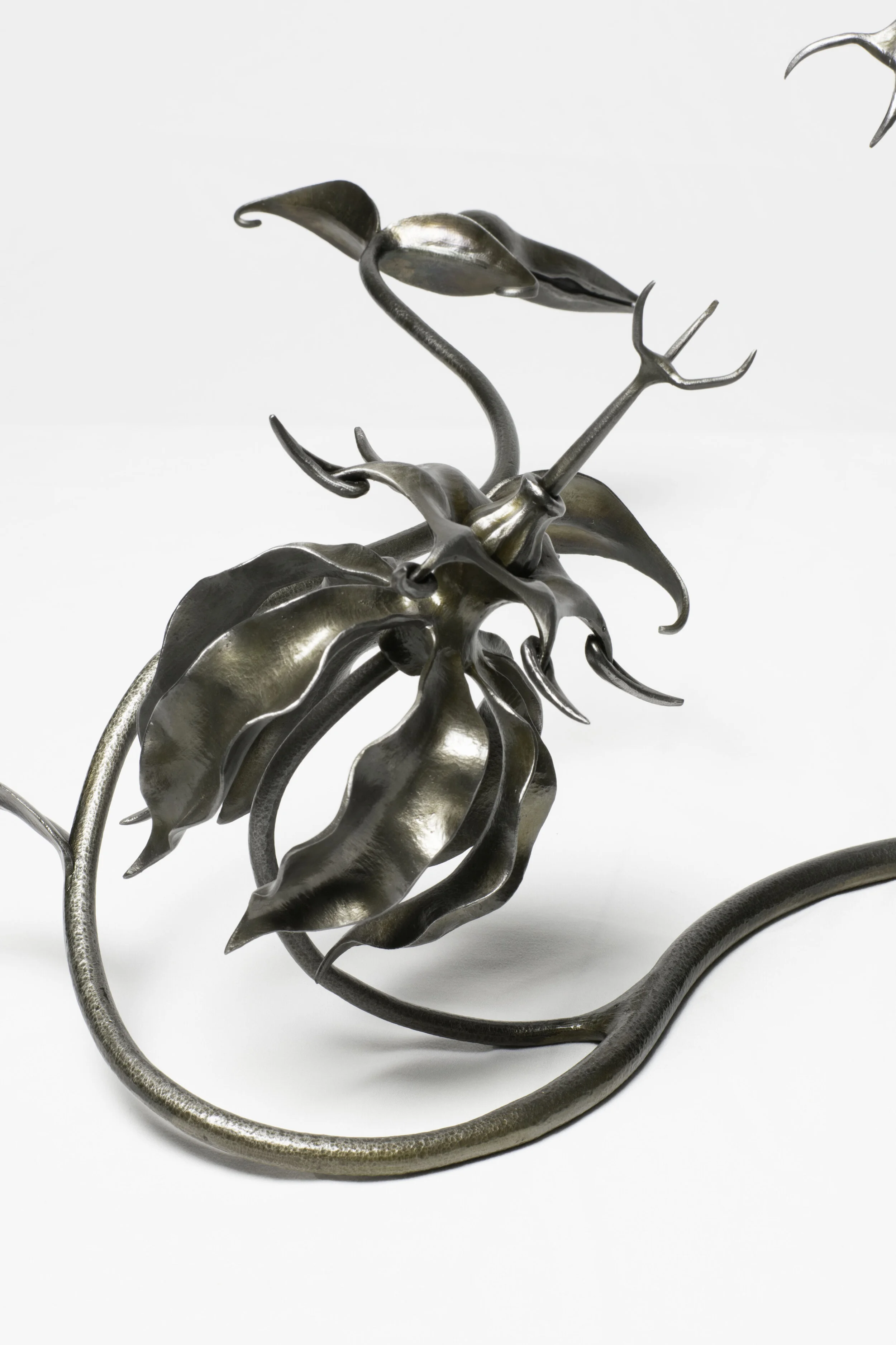 GLORIOSA PUGNA 2.jpg