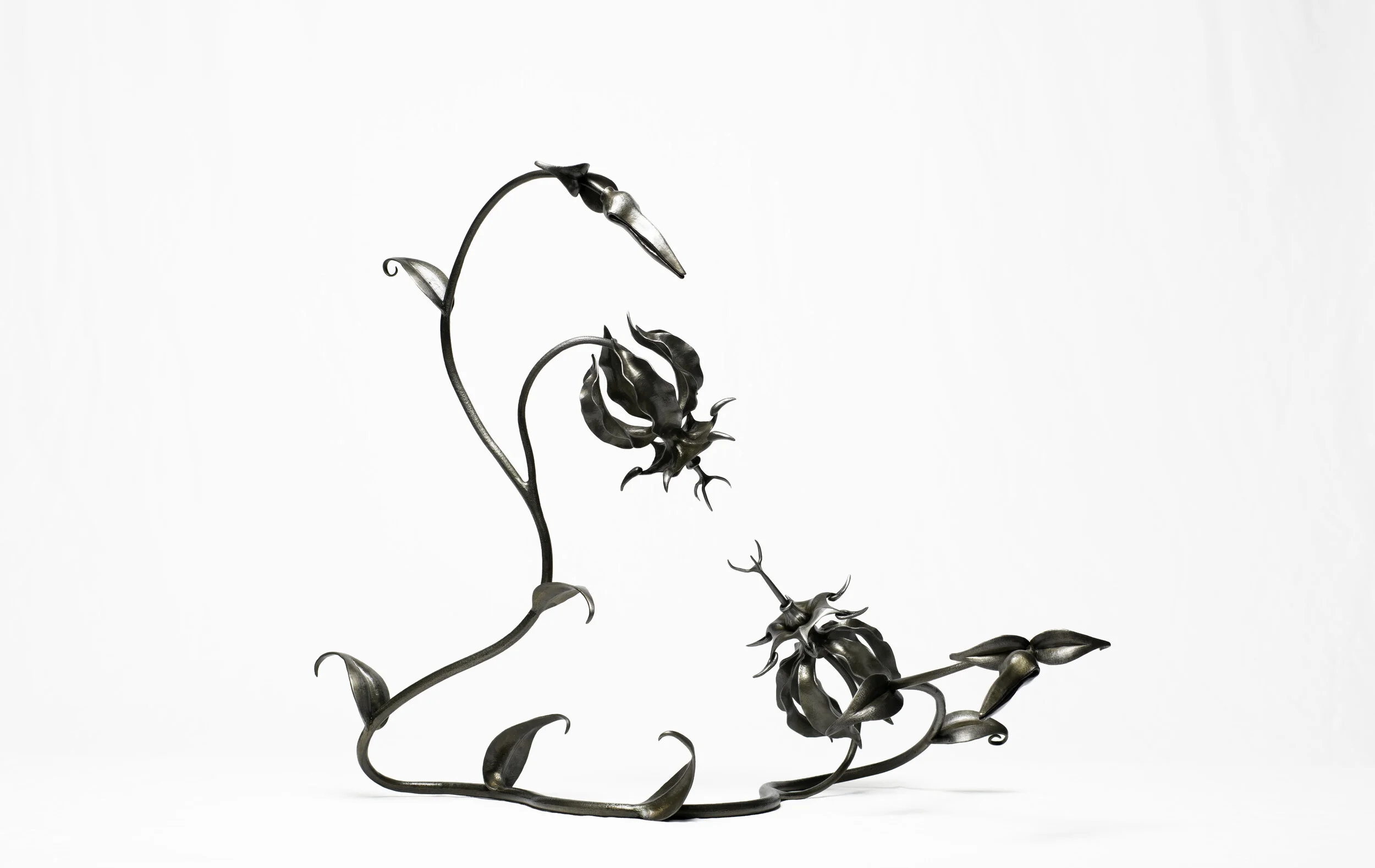 GLORIOSA PUGNA 7 .jpg