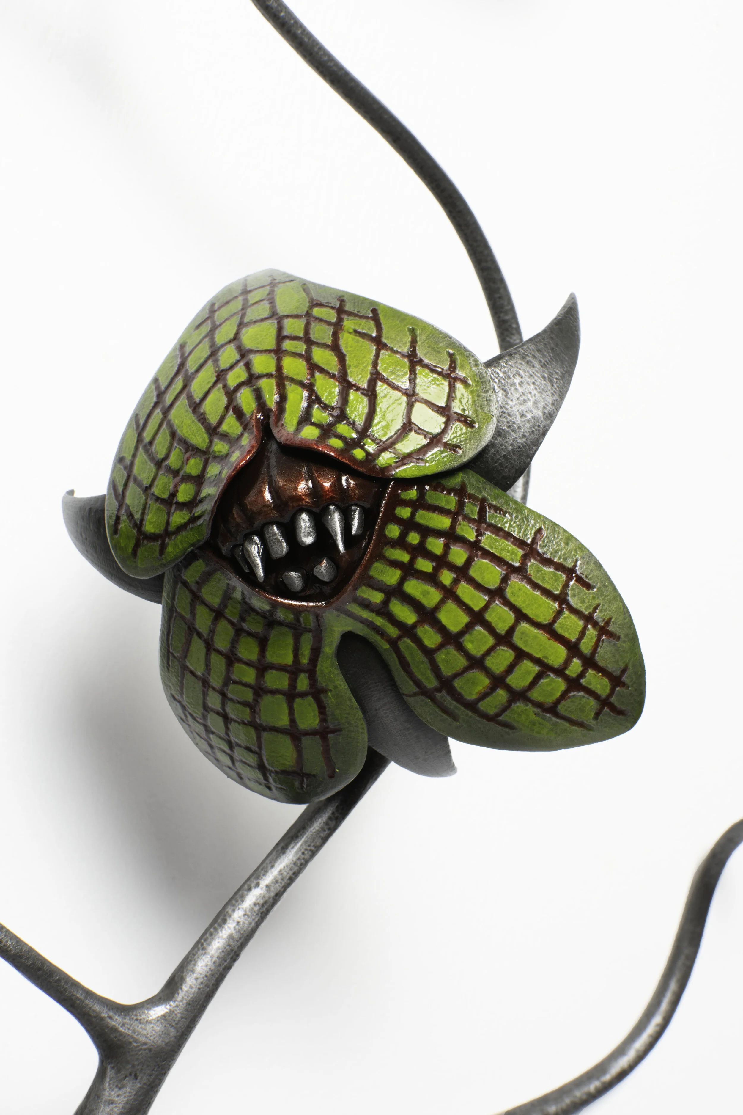 Telipogon Synomotikos 4 .jpg