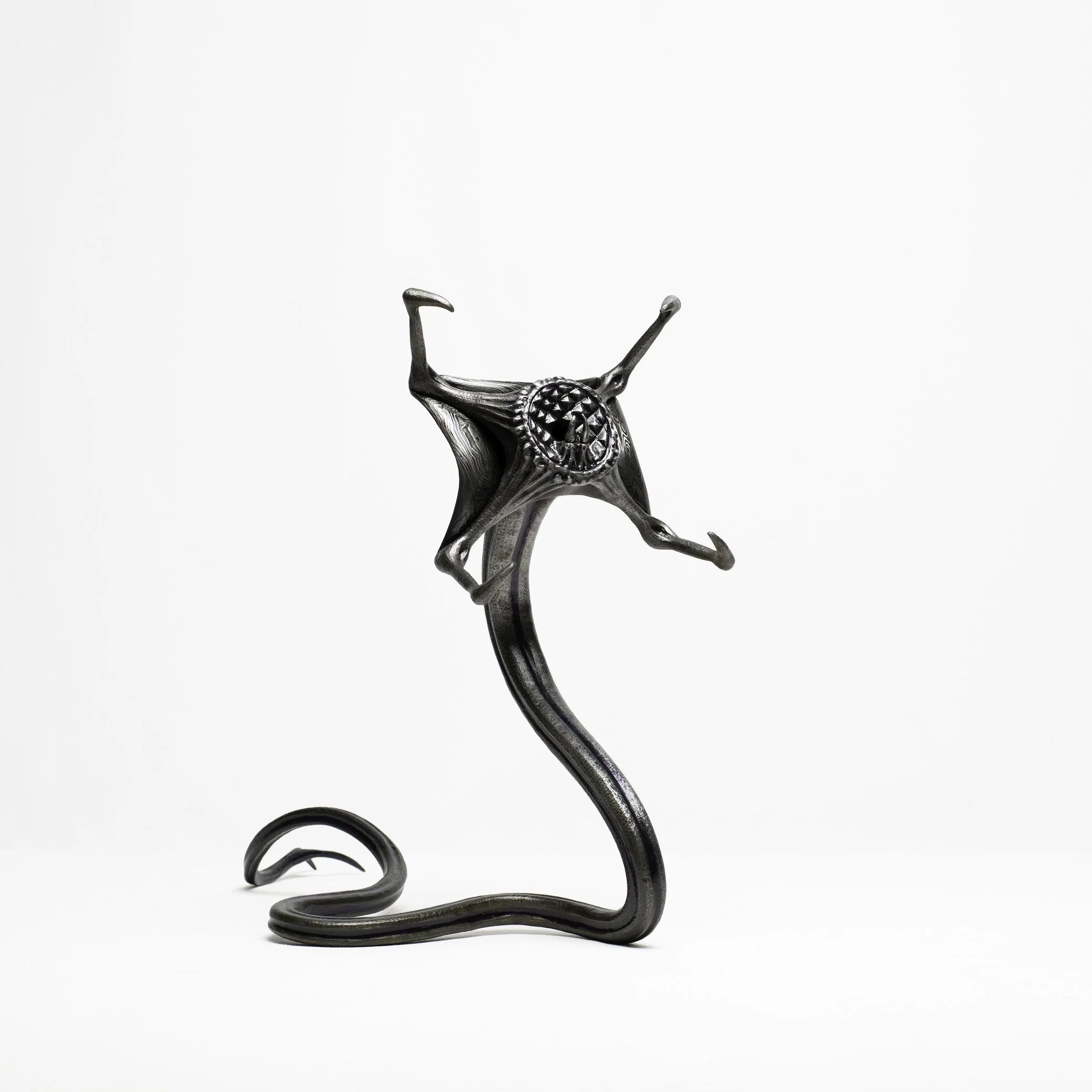 ORTAE MURENA 6 CROP SMALL .jpg