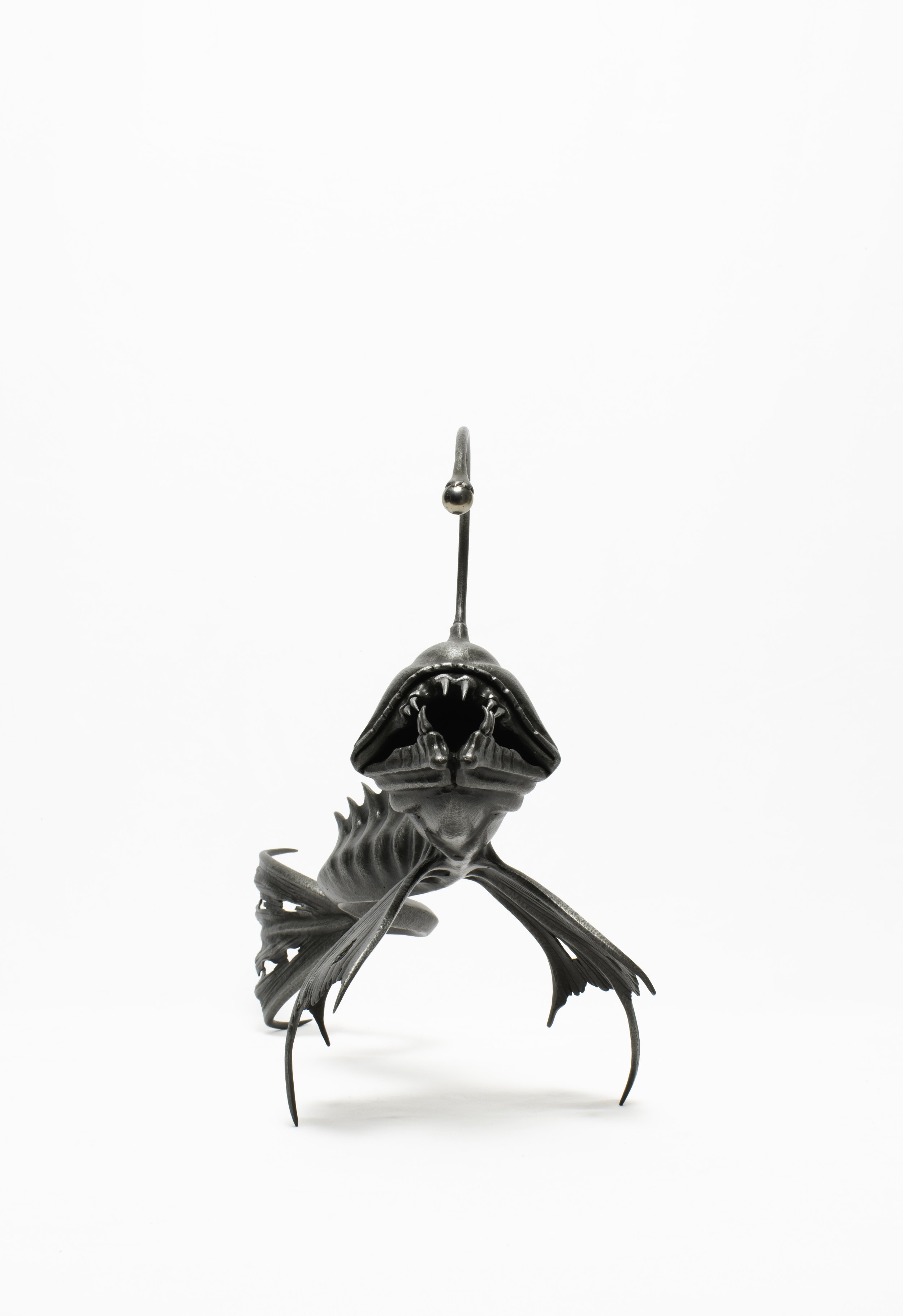 Anglerfish 1- 7  .jpg