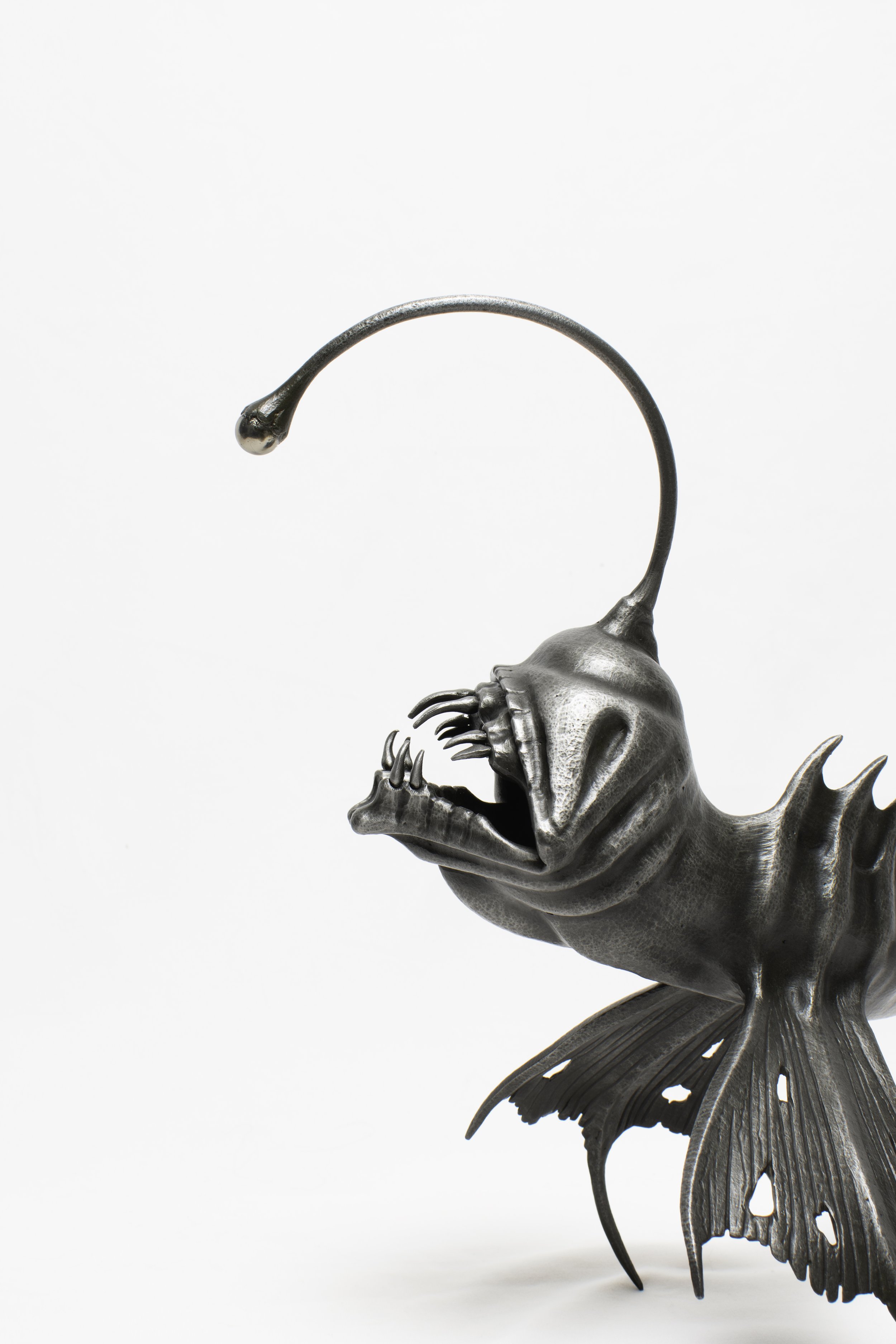 Anglerfish 1- 9 .jpg