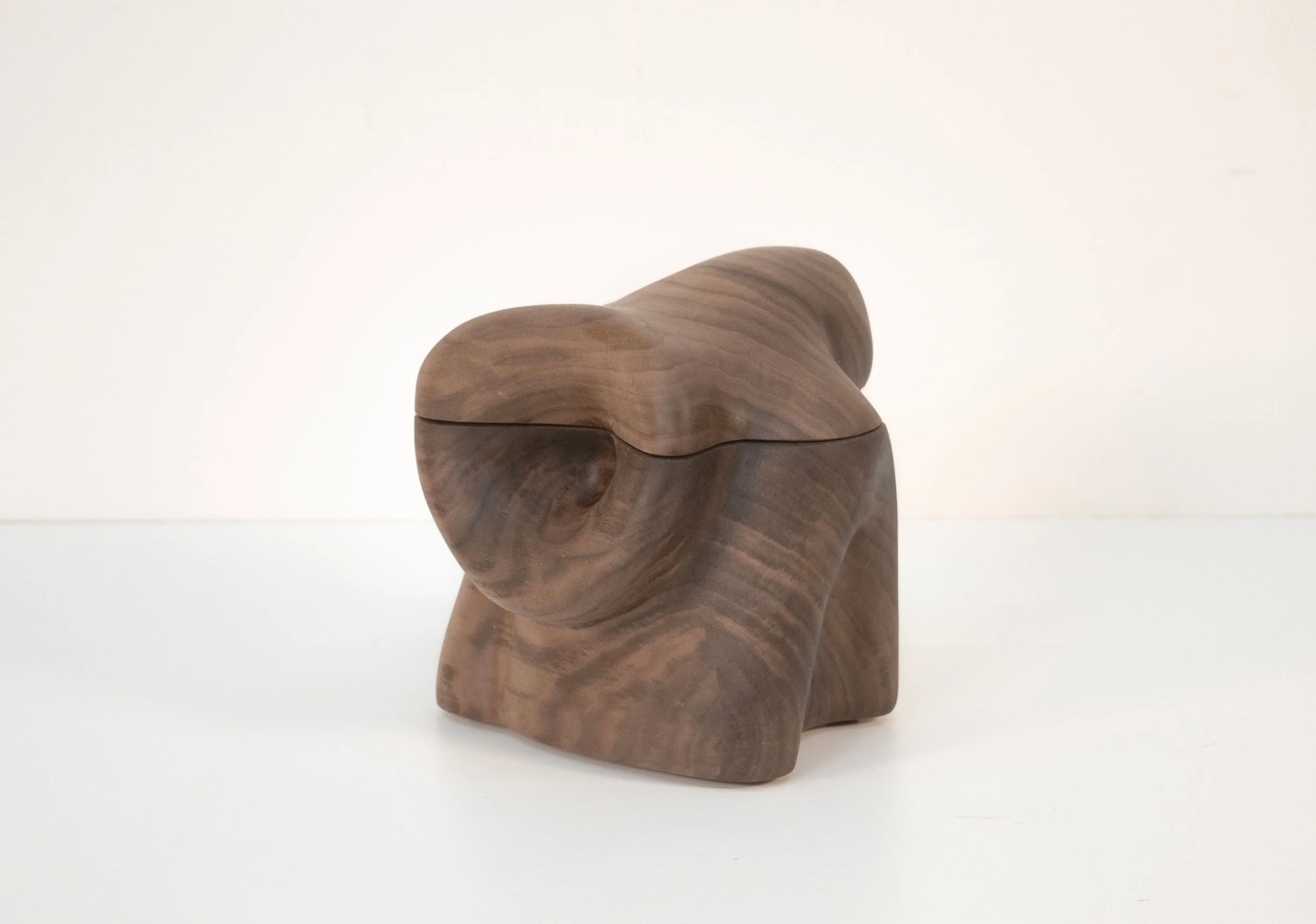 LJjrDham.jpeg