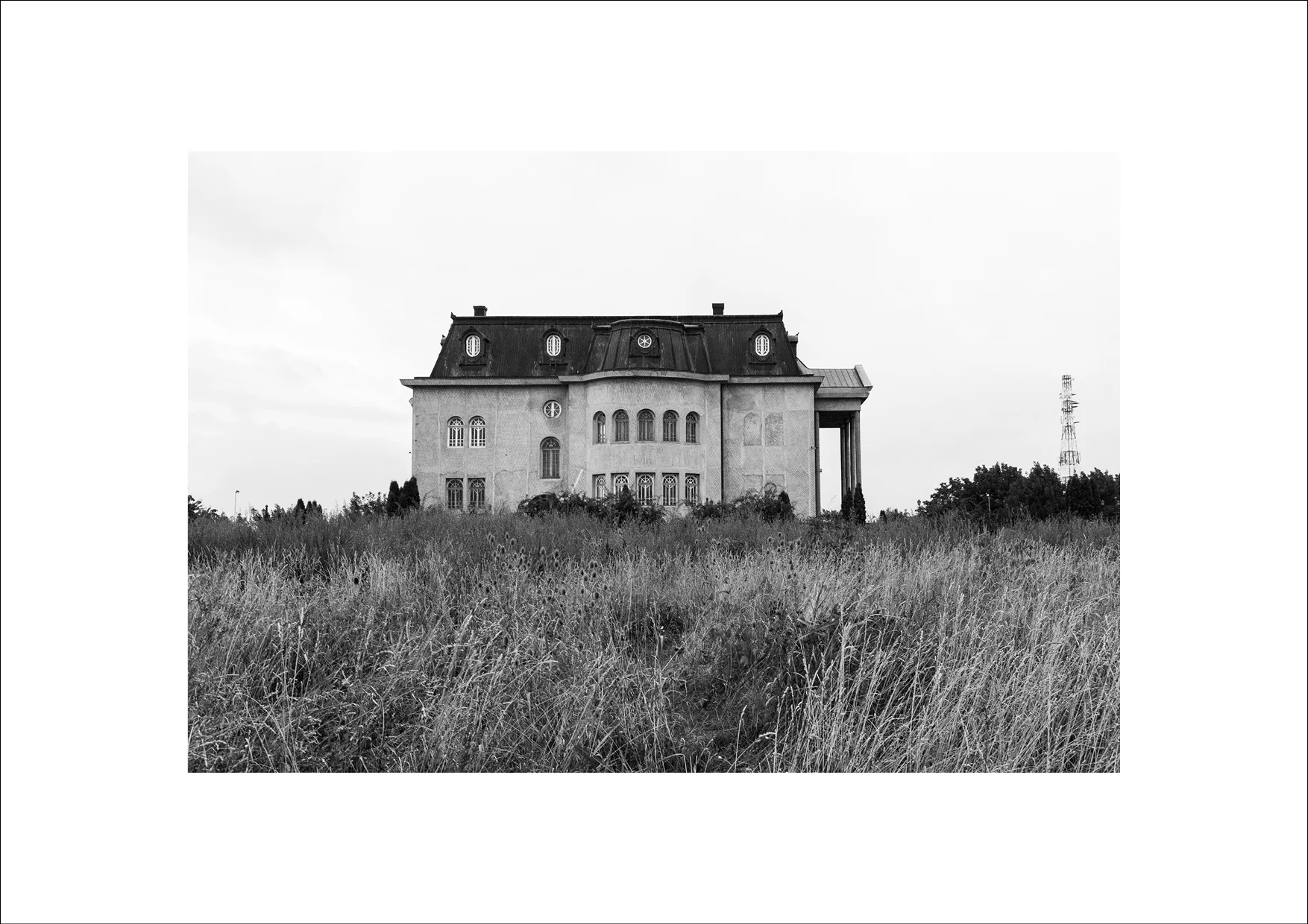 pushapetrov palais6.jpg