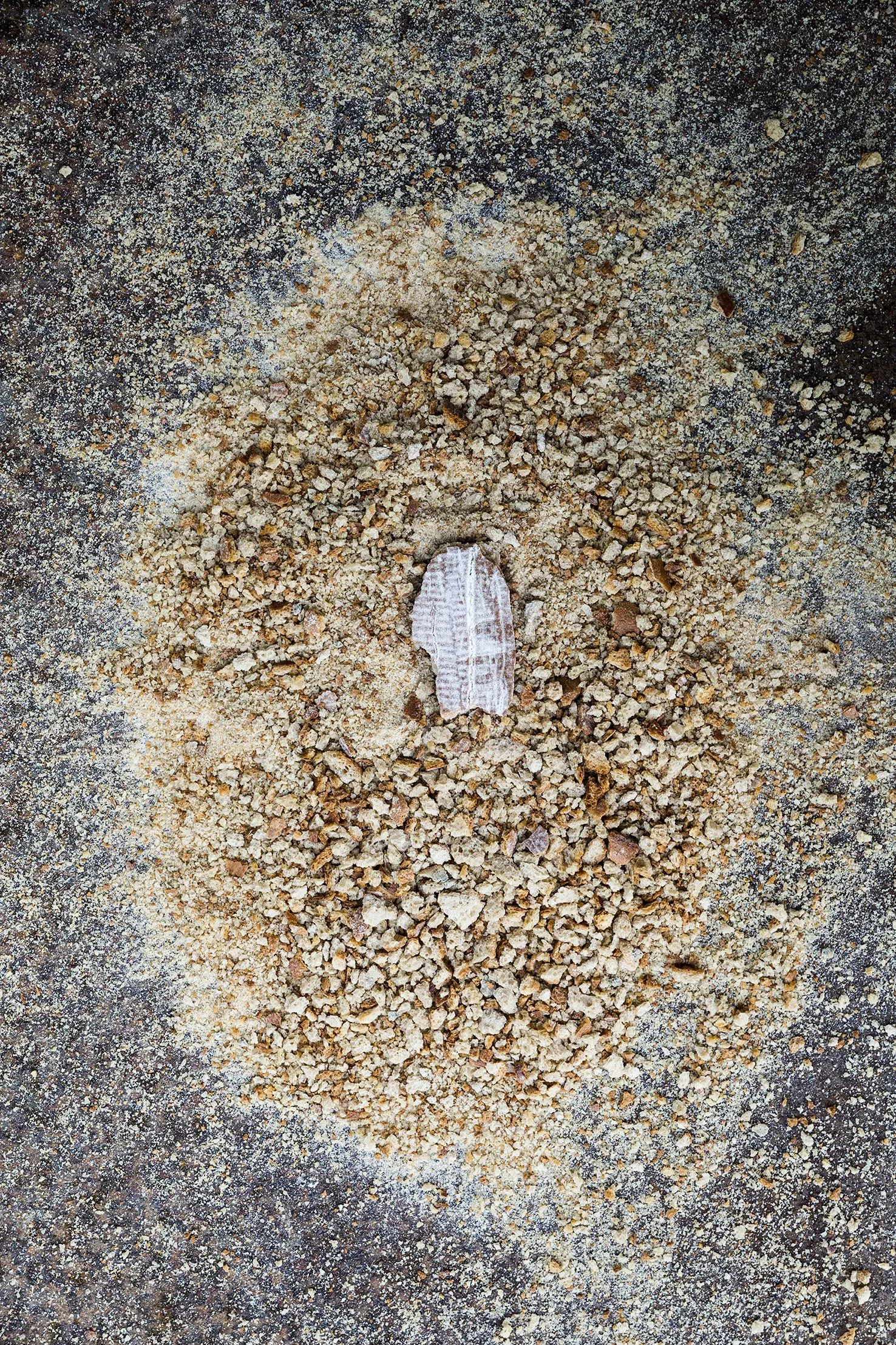 ephemera (1).jpg