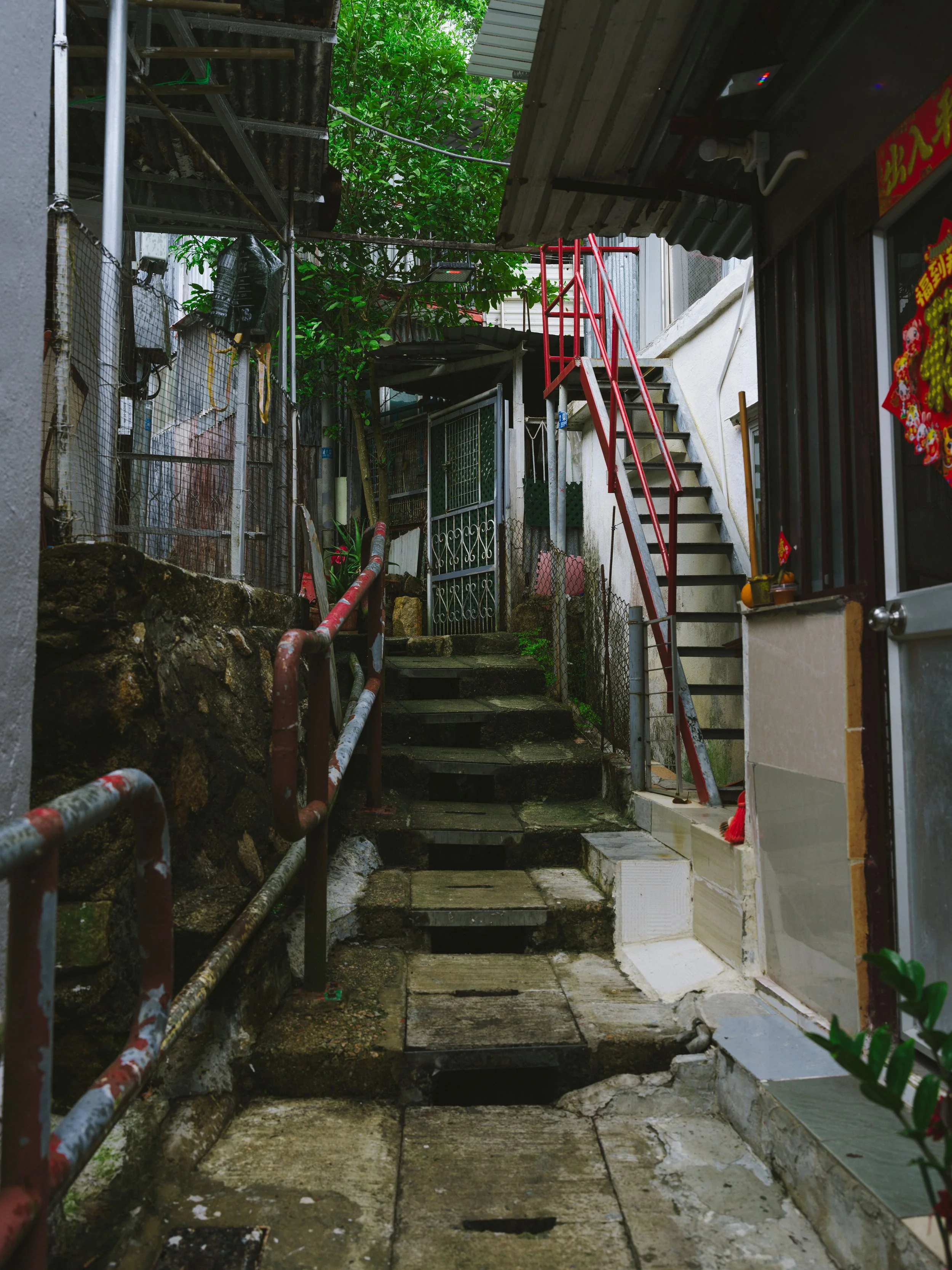 B0019326.jpg