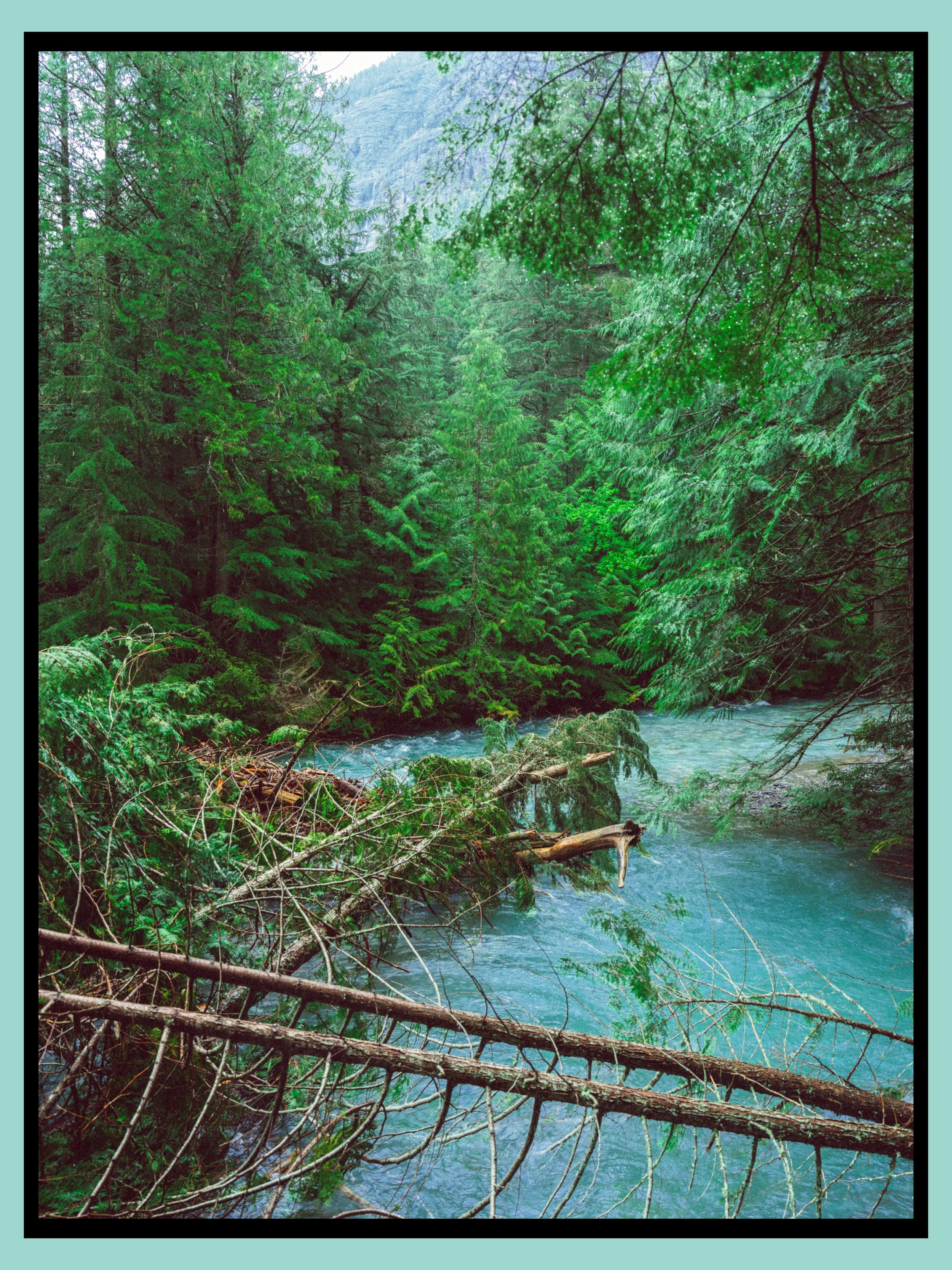 22D281A9-BB63-4C65-BC2F-8F96437596C4.JPEG