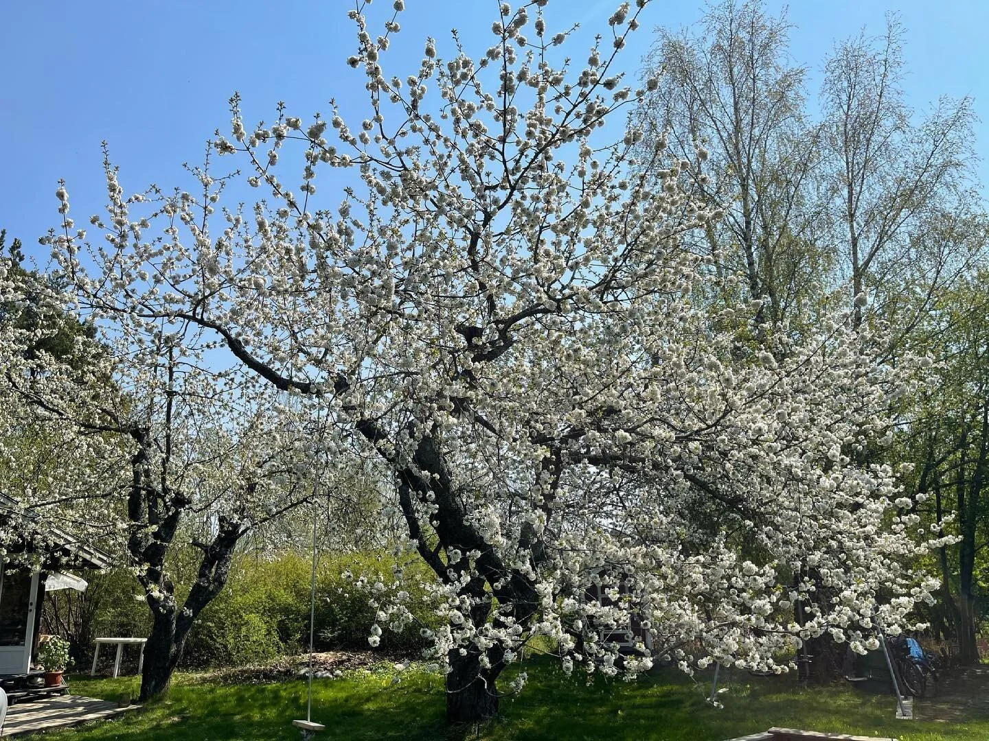 Idag njuter vi ocks&aring; av solen och att det &auml;r r&ouml;d dag. V&auml;lkommen imorgon fredag och p&aring; l&ouml;rdag som vanligt 10-18, 11-16.