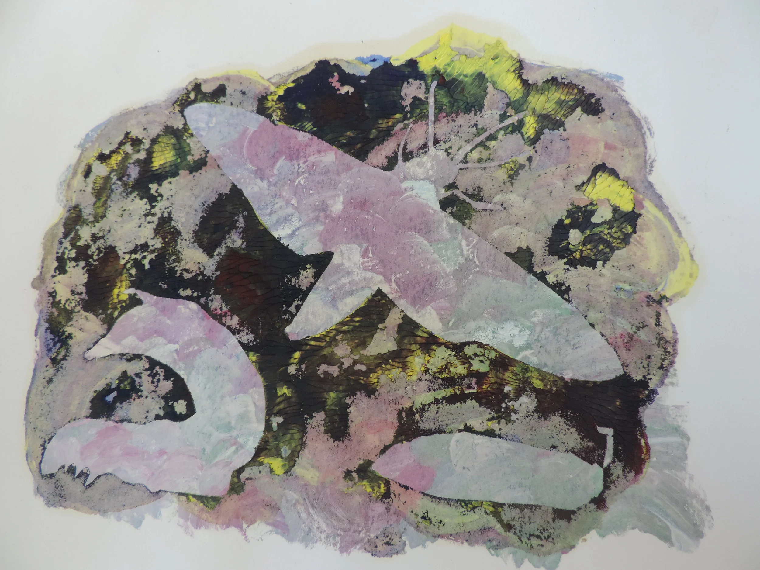 Life is transformation.JPG