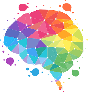 BrainWeavr_Hirn Bild.png