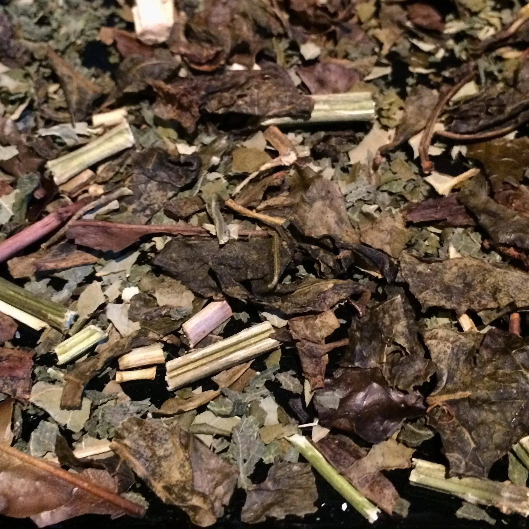 茶葉_8thMAY.jpg