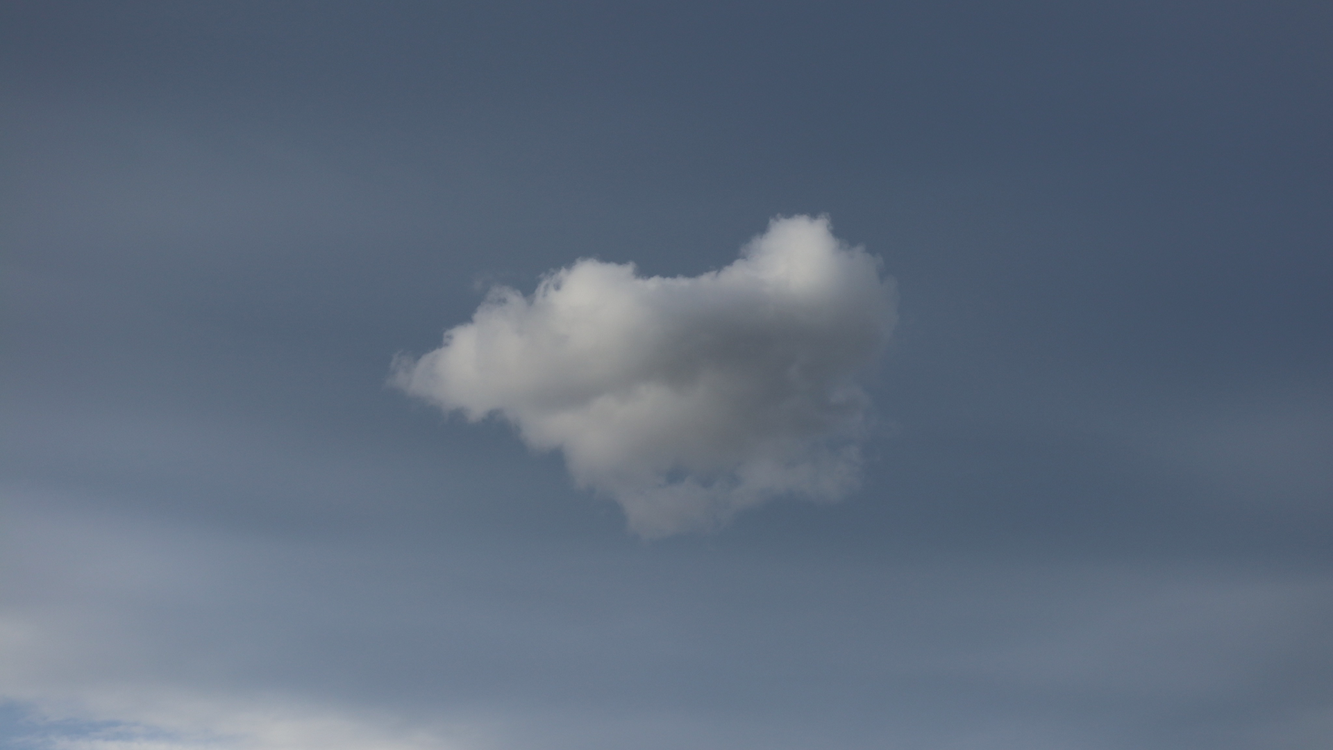 photo_gallery.009.png