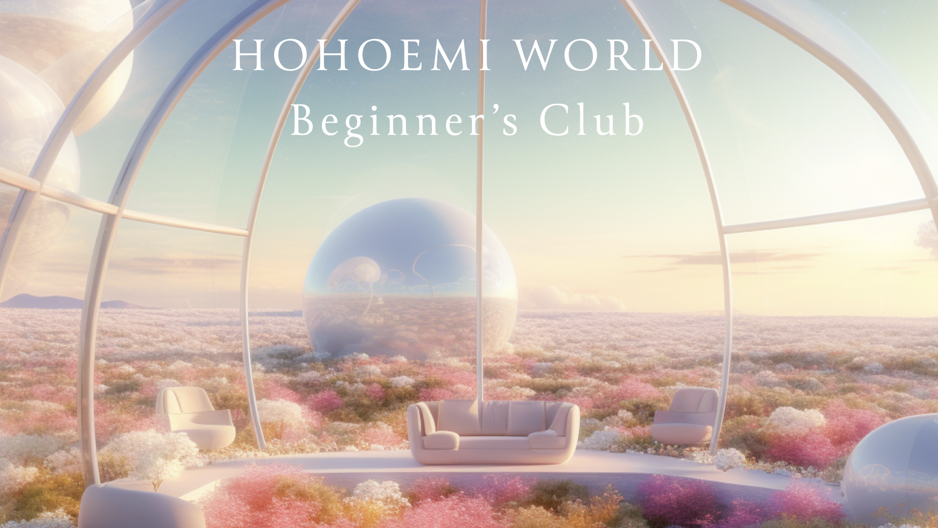 HOHOEMI WORLD Beginner's Club.002.png