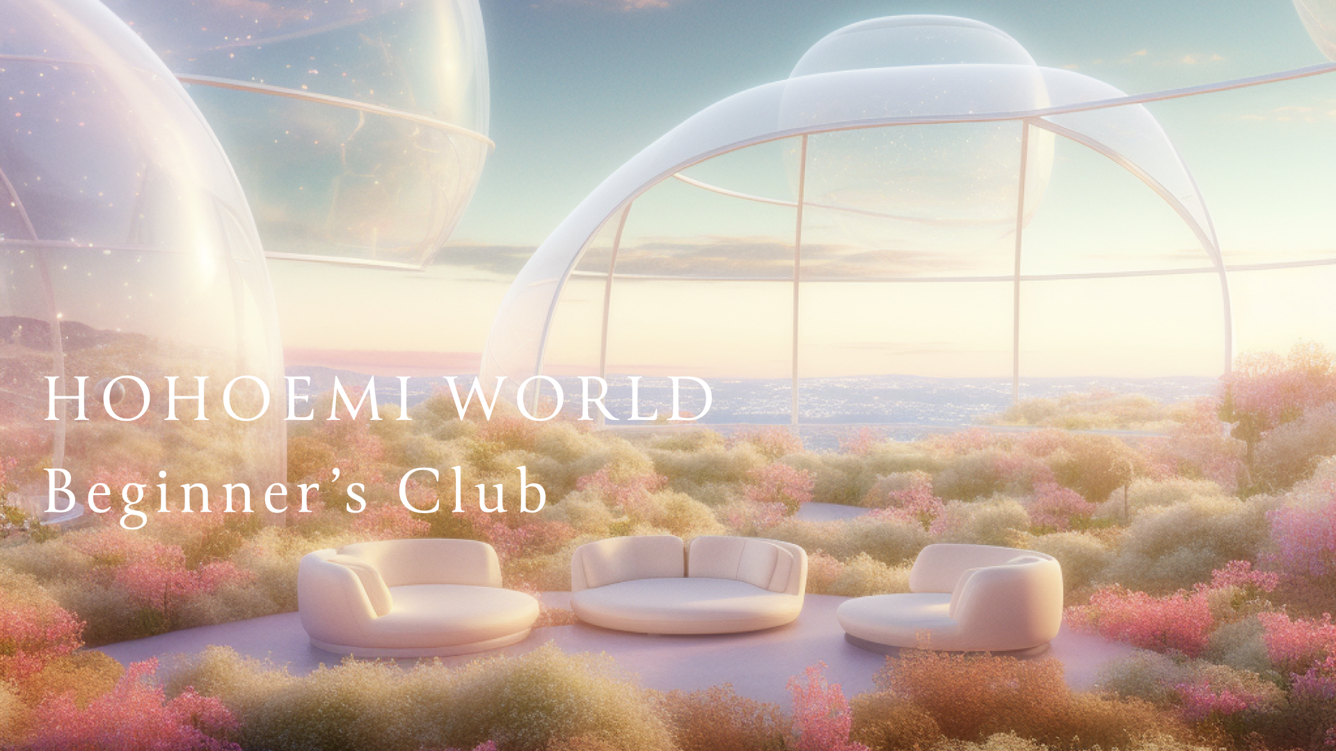 HOHOEMI WORLD Beginner's Club.001.png