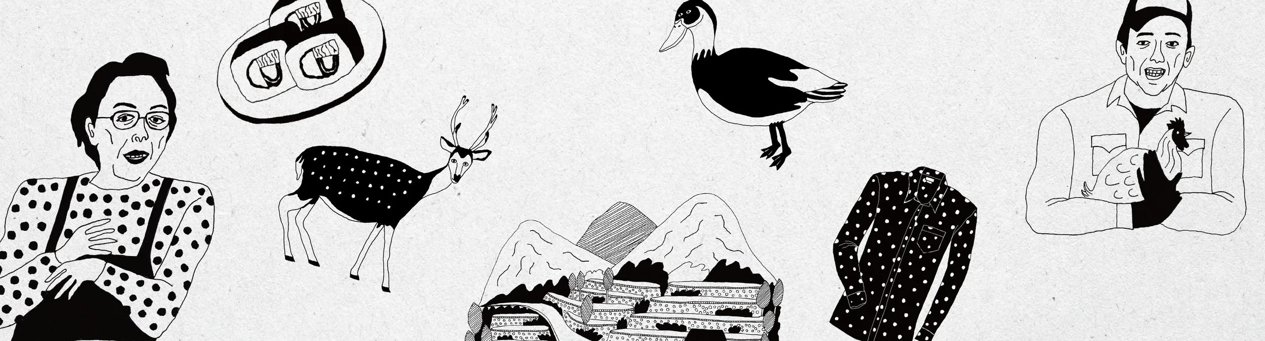 takavc_cover.jpg