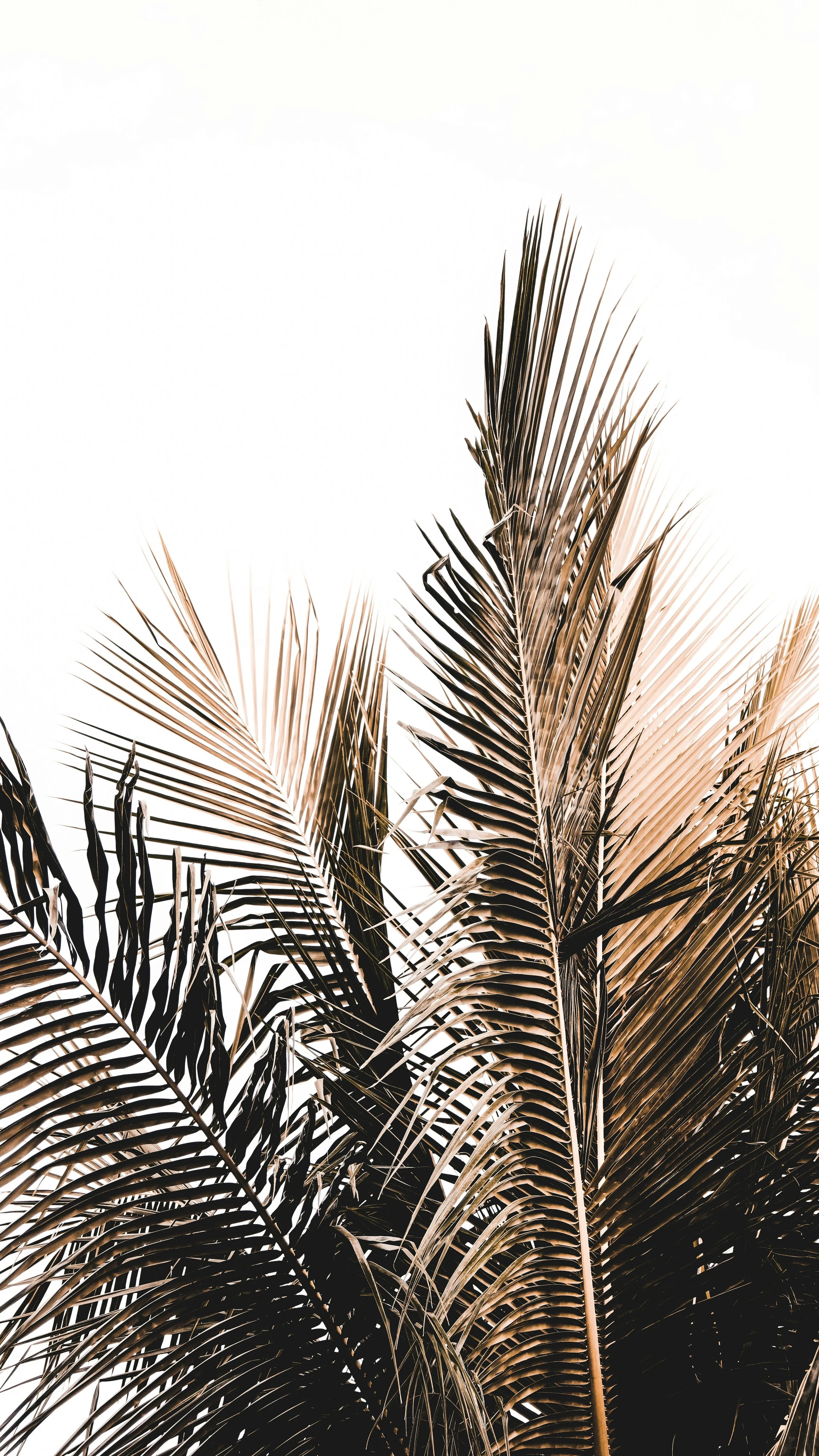 kosmetisk akupunktur københavn