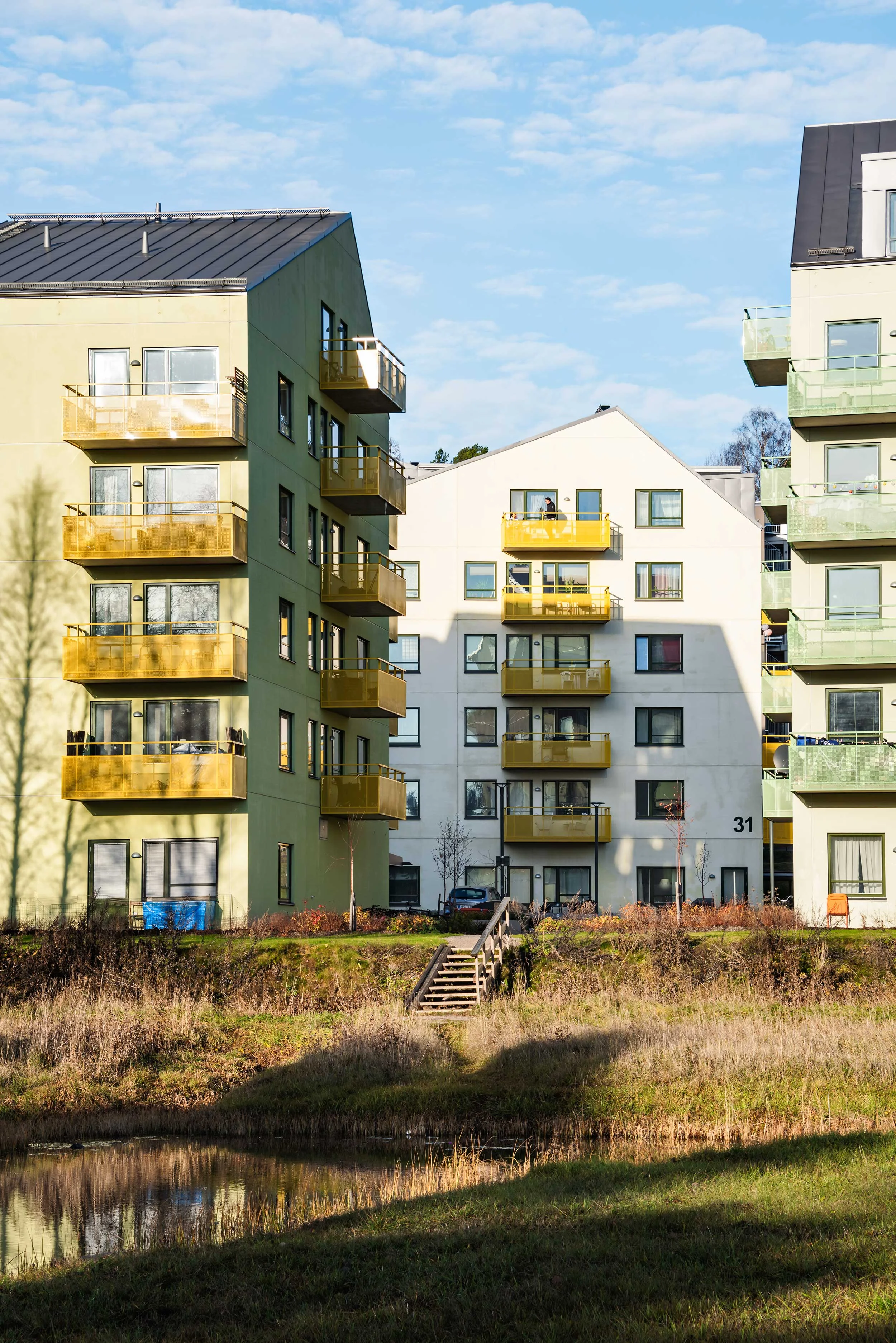 visätra ängar_03_webb.jpg