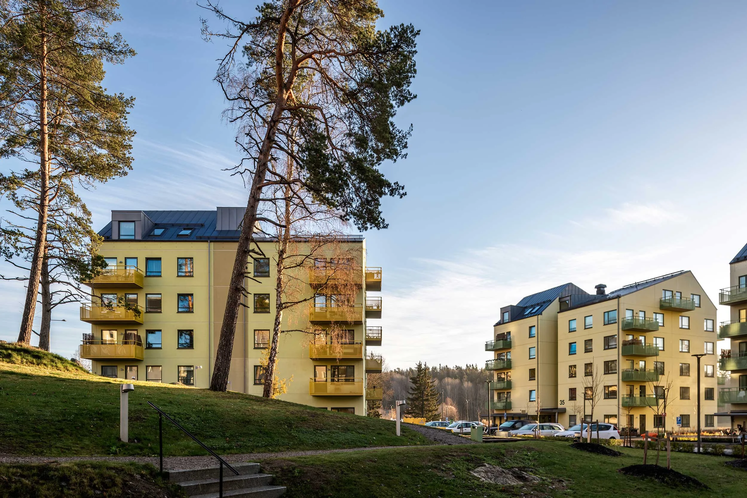 visätra ängar_01_webb.jpg