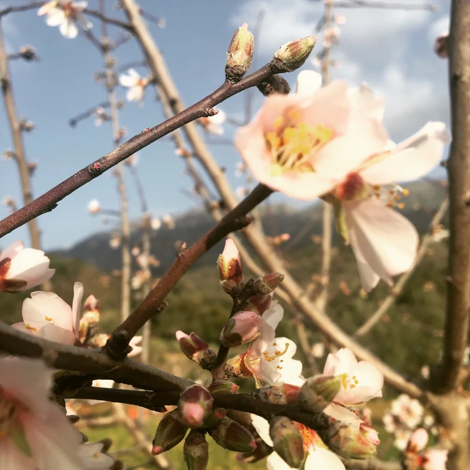 Hvor bliver det af, livet du længes efter?