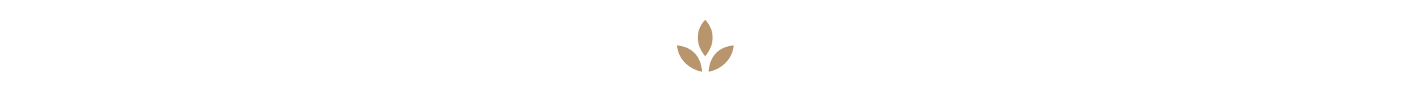 logo-symbol.png