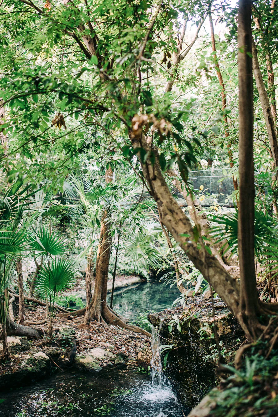 5 reasons why you should visit Tulum by Nellaino (2 of 119)