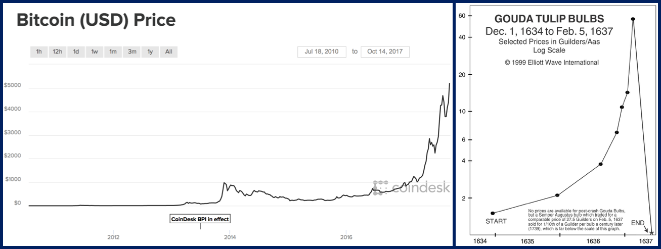 The growth of Bitcoin (in USD) and the growth of Tulips in 1600.