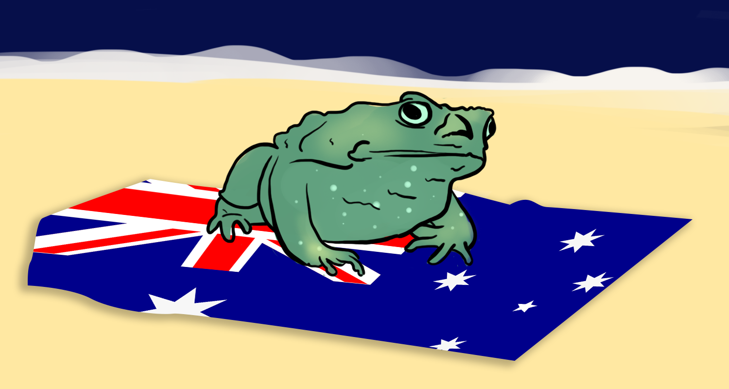 The cane toads conquering Australia