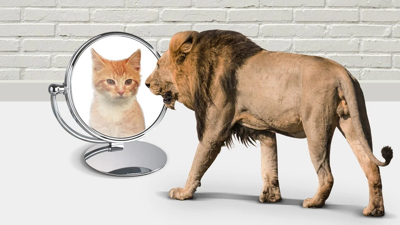 Do You Fear Public Speaking?