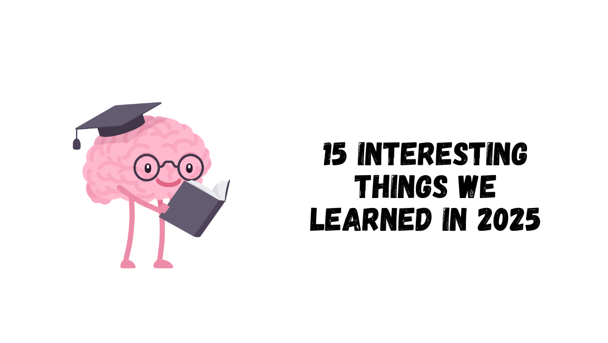 15 Interesting Things We've Learned In 2025