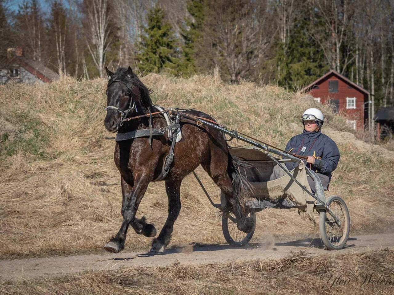 Fotograf: Ylva Welén