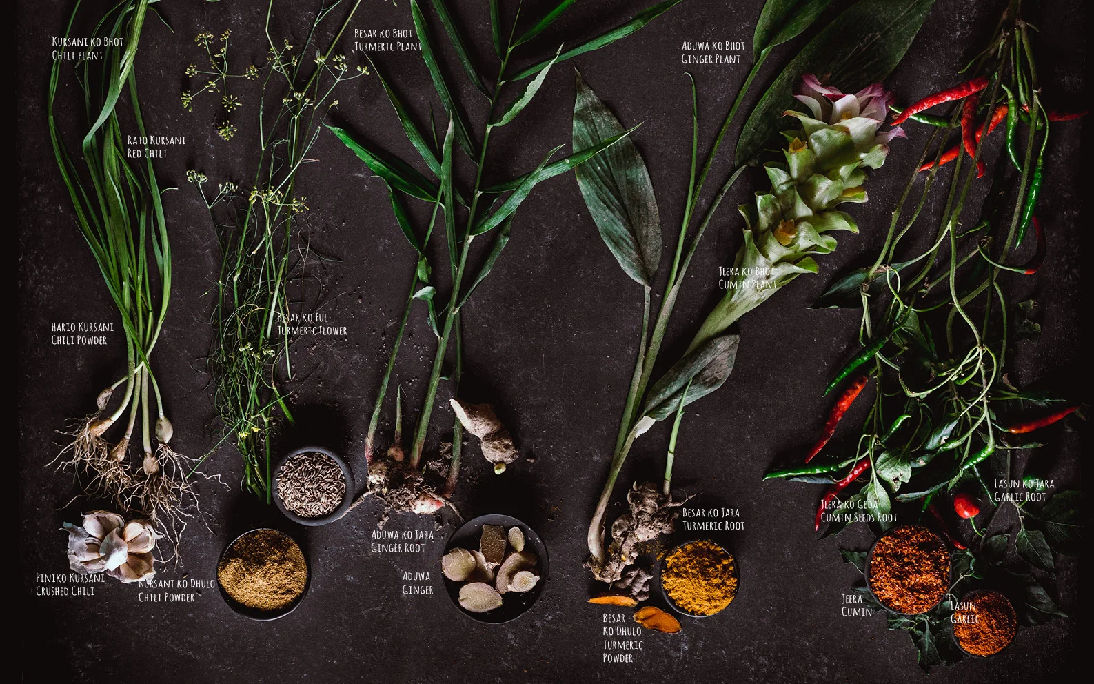 Flavours of Nepal - E-book 2018 - version 1.3-483.jpg