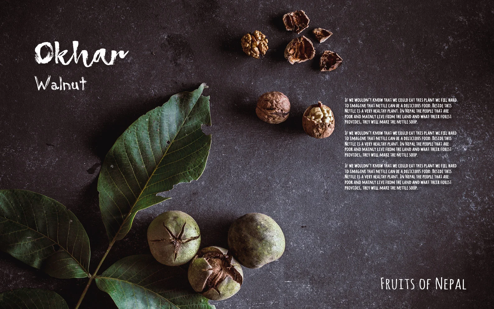Flavours of Nepal - E-book 2018 - version 1.3-416.jpg