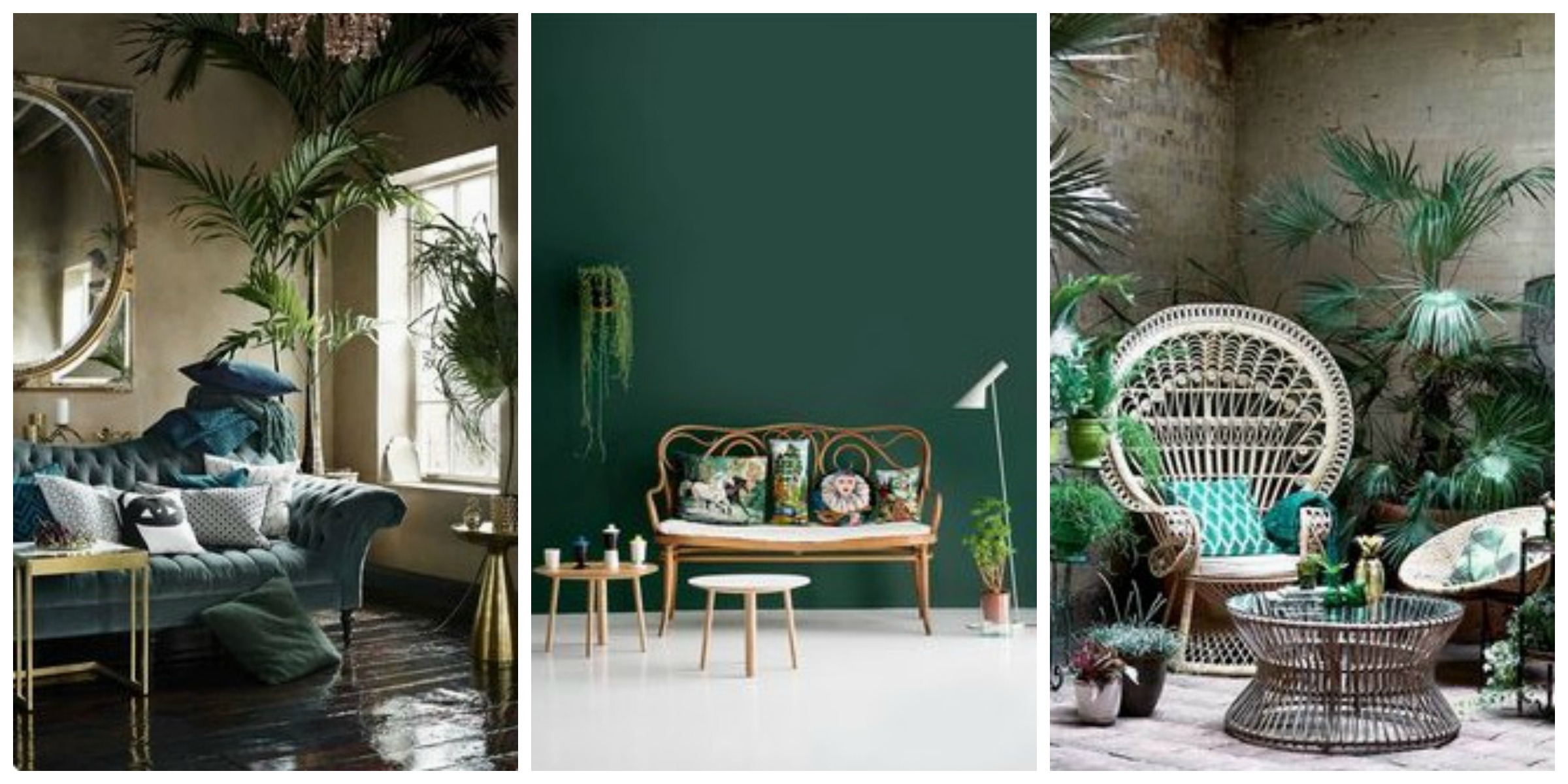 Images from Pinterest