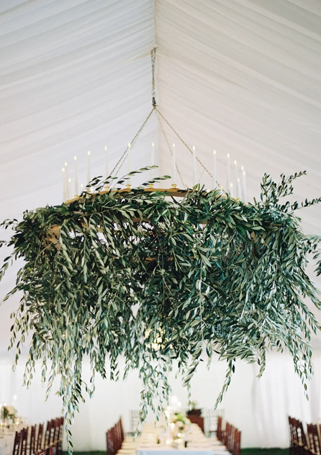 olivebranchfloraldecor (1)