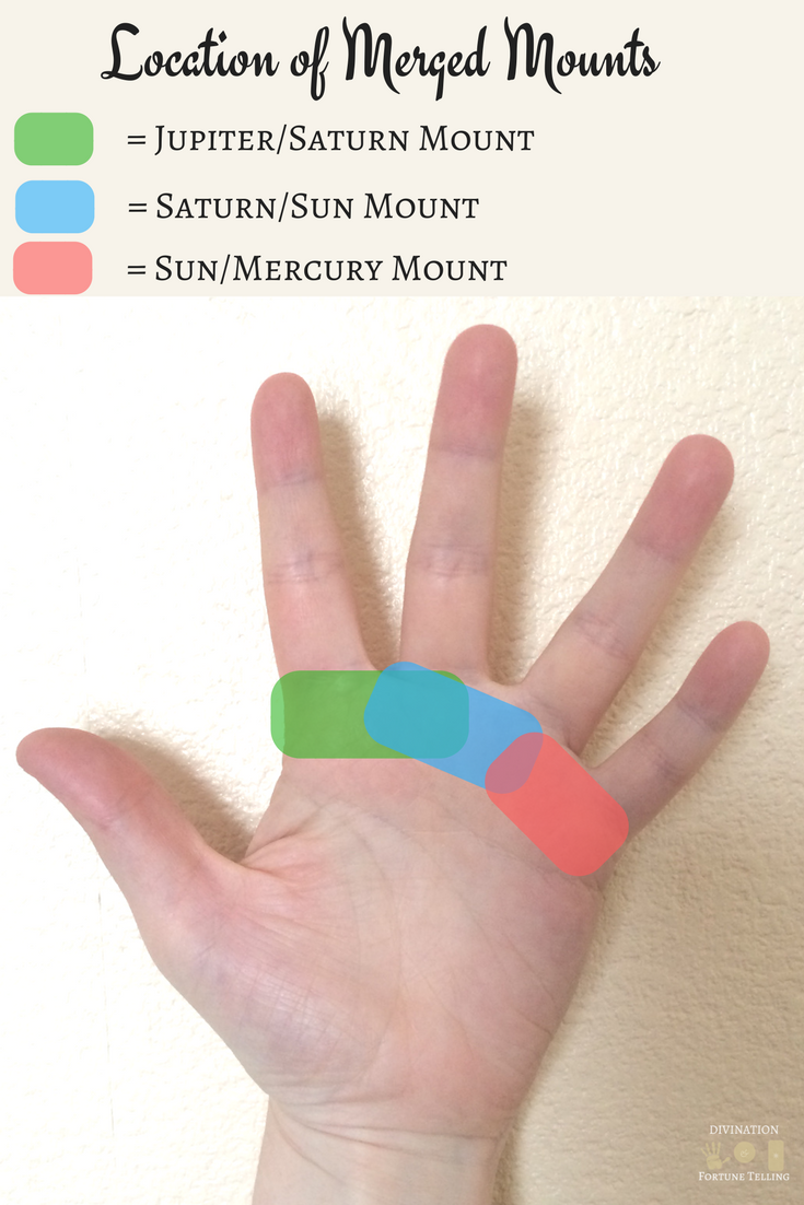 Image showing the location of mounts which appear between the fingers, known in Palmistry as merged mounts.