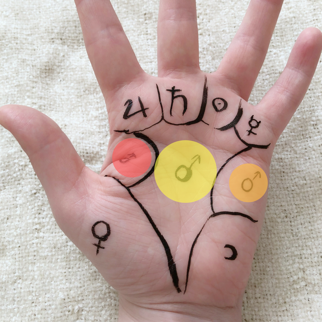 The location of the palmistry mounts in the middle of the hand and how to read them - divination and fortune telling.png