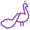 icons8-peacock-100.png