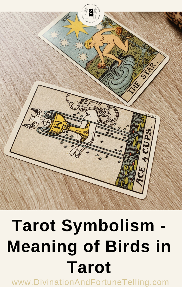 Pin by maria on Tarot  Pentacles tarot, Tarot interpretation, Reading  tarot cards