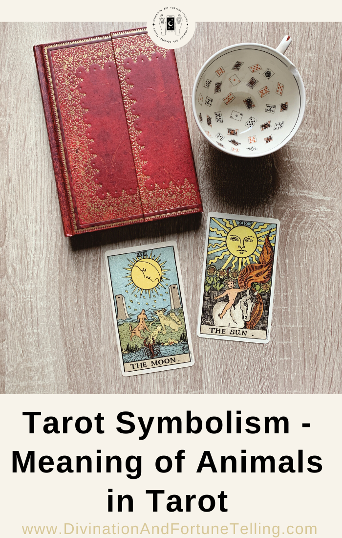 Meanings of Animal Symbols on Tarot Cards — Lisa Boswell