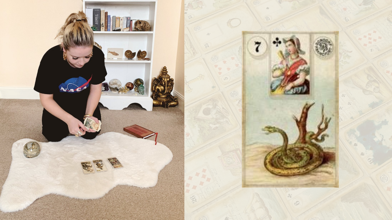 Accurate Snake Meanings and Combinations