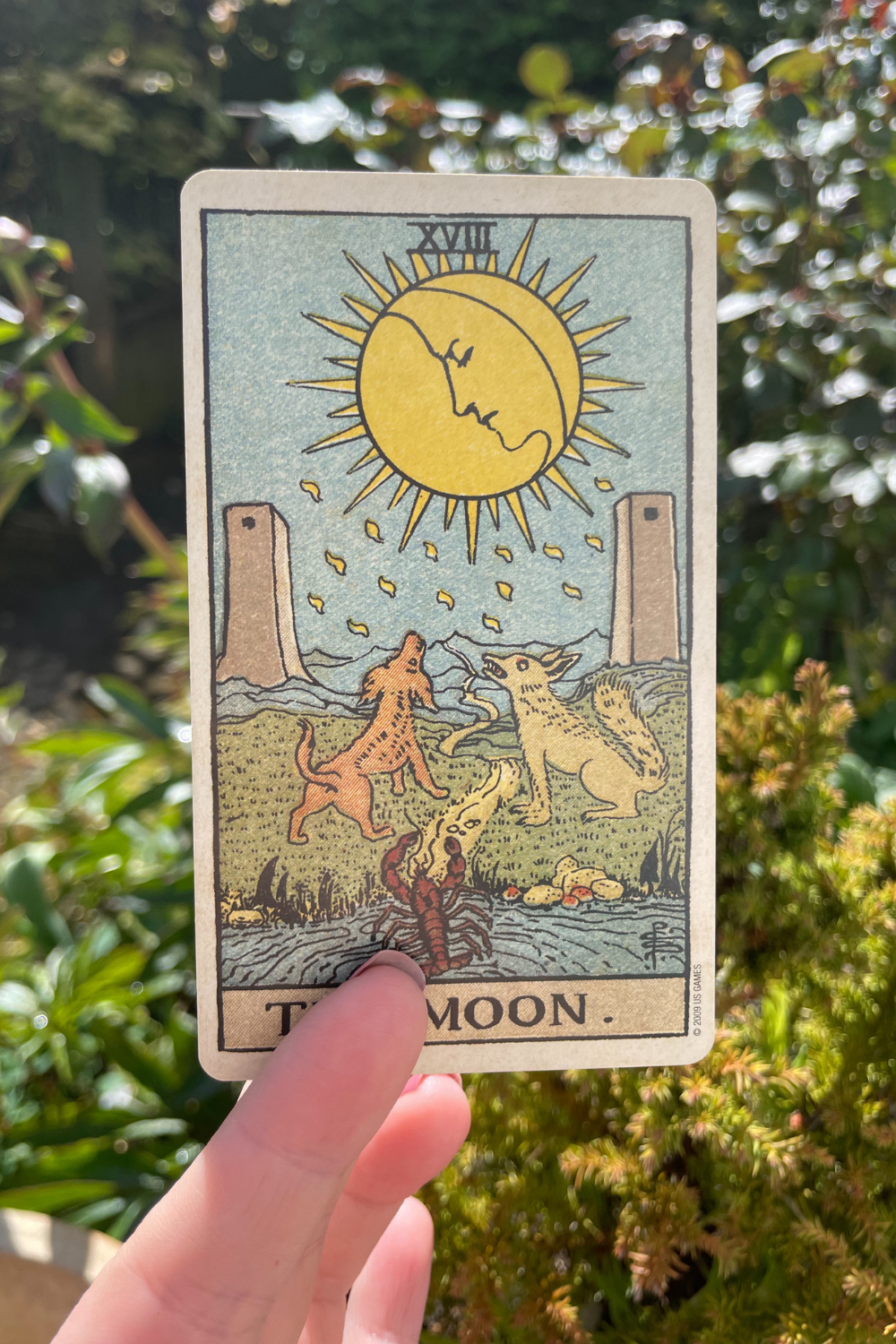 Tarot Tuesday ~ The Moon Tarot Card