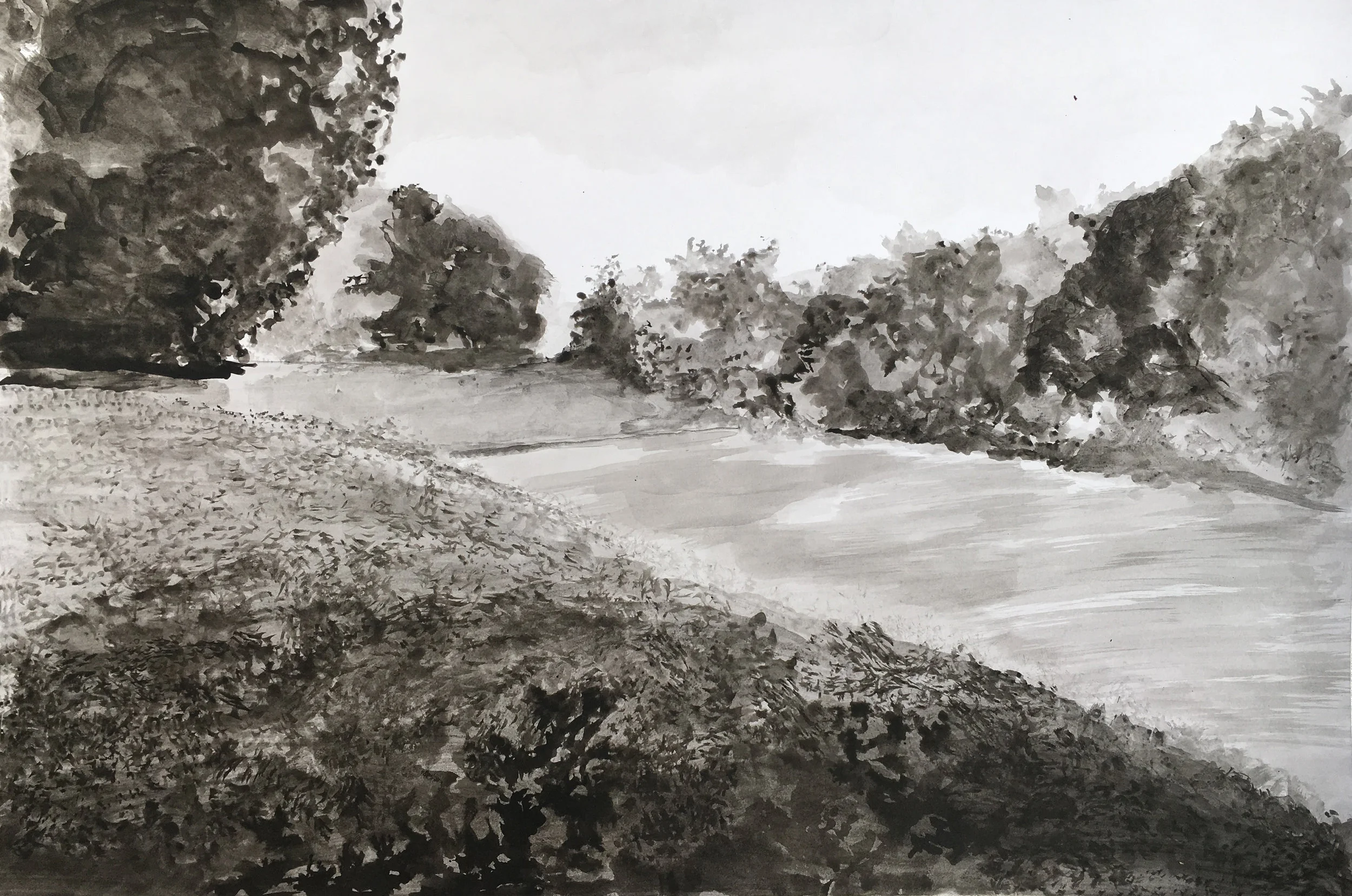 Hidden Pond