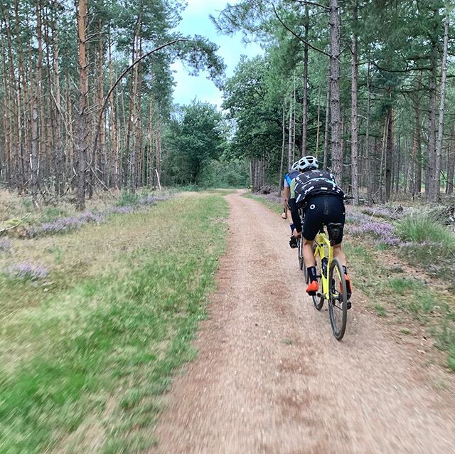 Roads of the last weeks
#gravelgrinding #pathfindergiro #leenderheide #strabrechtseheide #logarskadolina #mangartskosedlo #rogla  #vrsic #pathslikethese