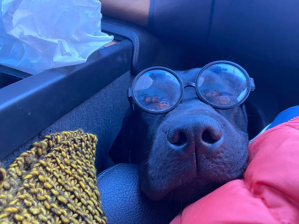 Channeling Le Corbusier or Harry Potter?  You decide.
#lecorbusier #harrypotter #changeyourhaabitts