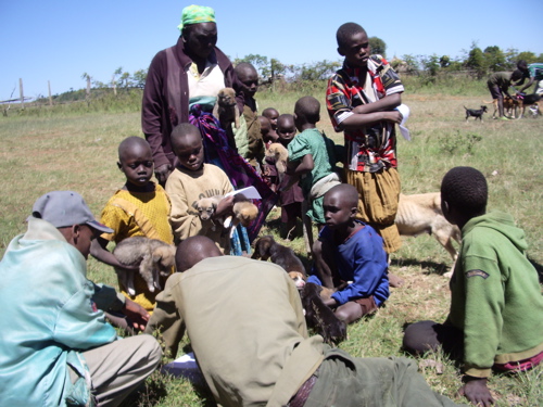 Children from Angata Barikoi area bring their puppies for vaccination.
