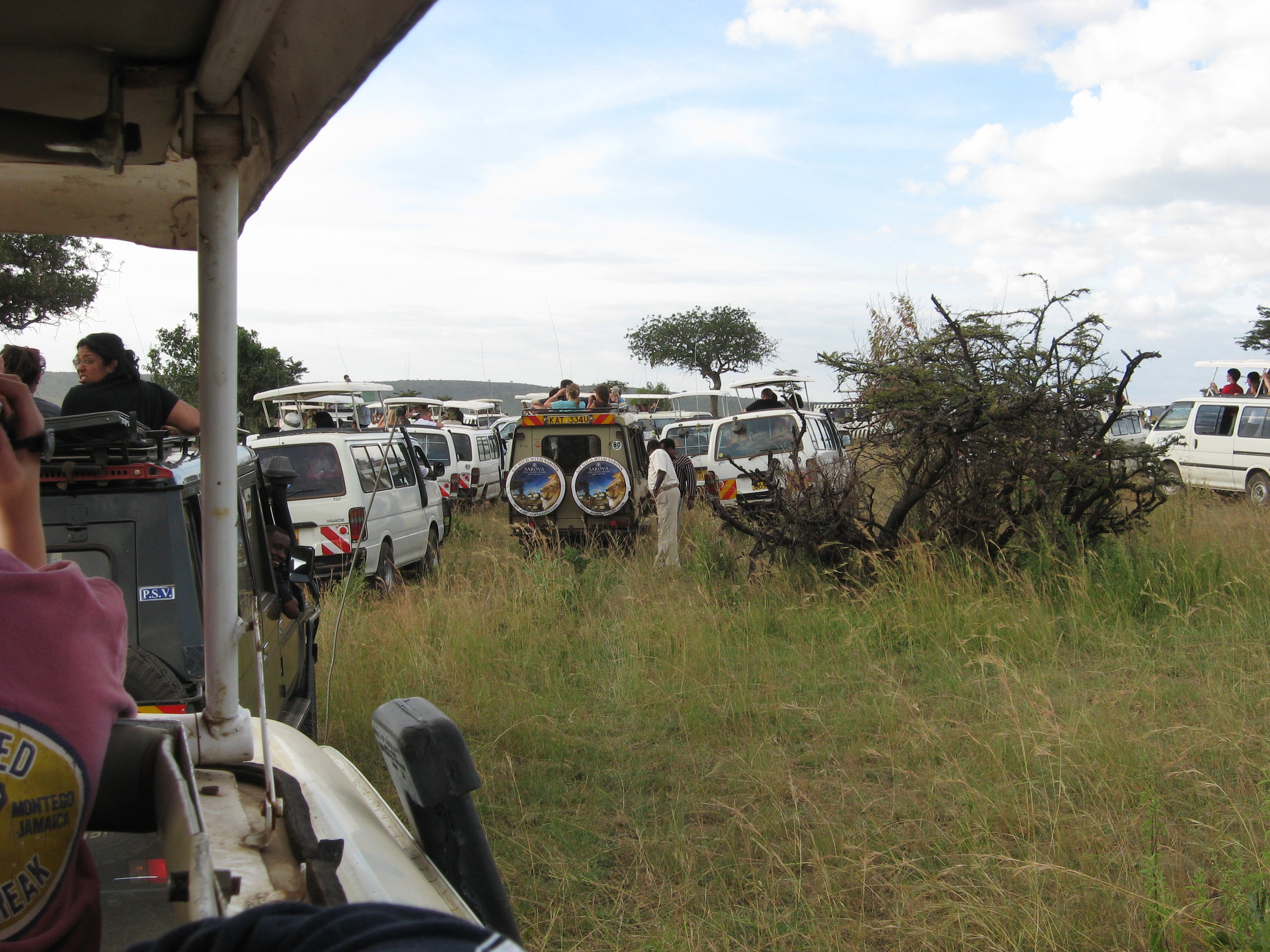 Maasai Mara.jpg