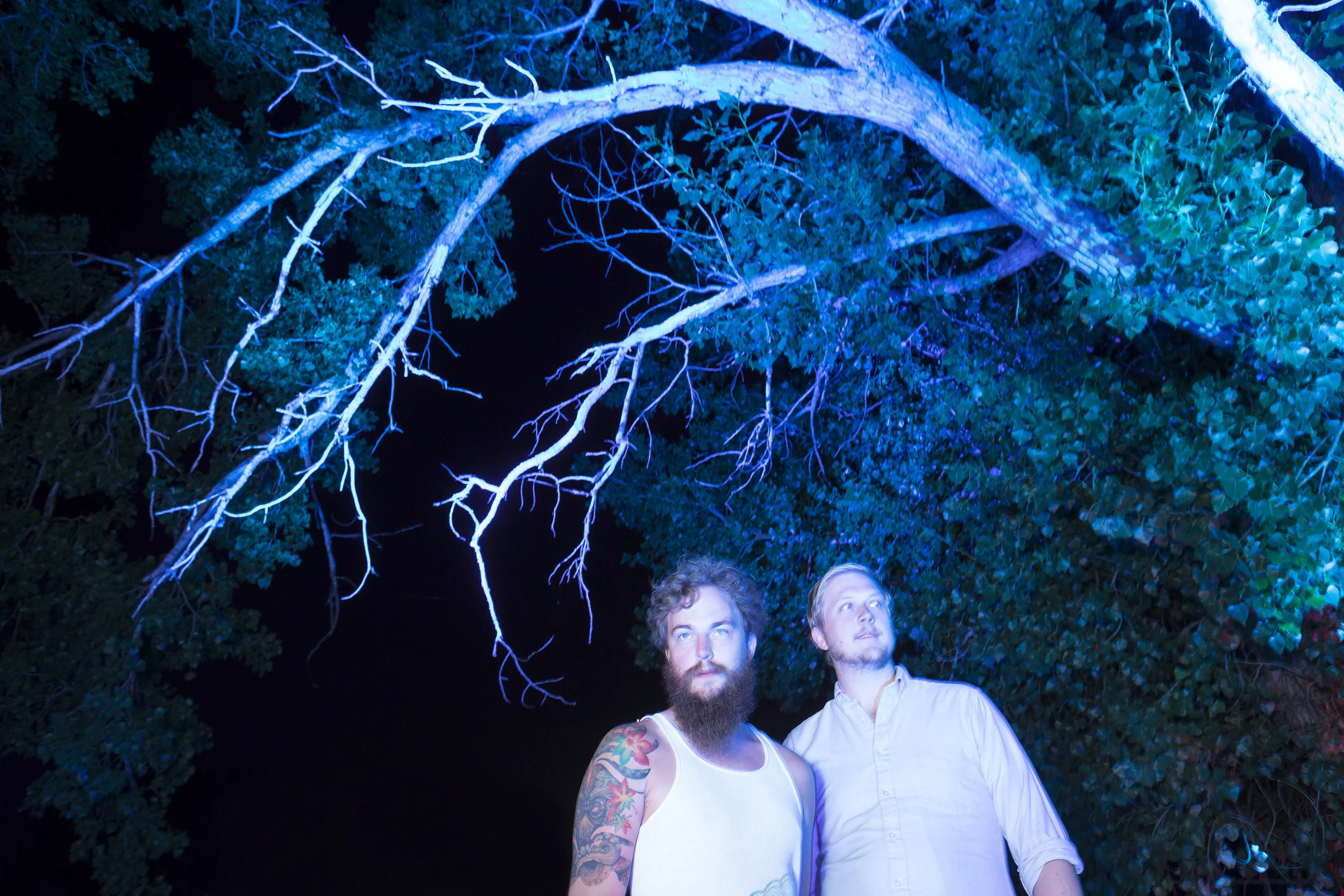 treemachines-singles_1.jpg