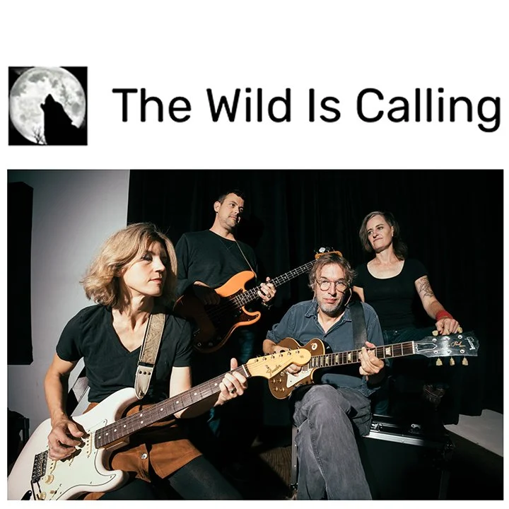 "Country Numbers" by Loose Wing has "vintage vibes that trend elusive," writes The Wild Is Calling