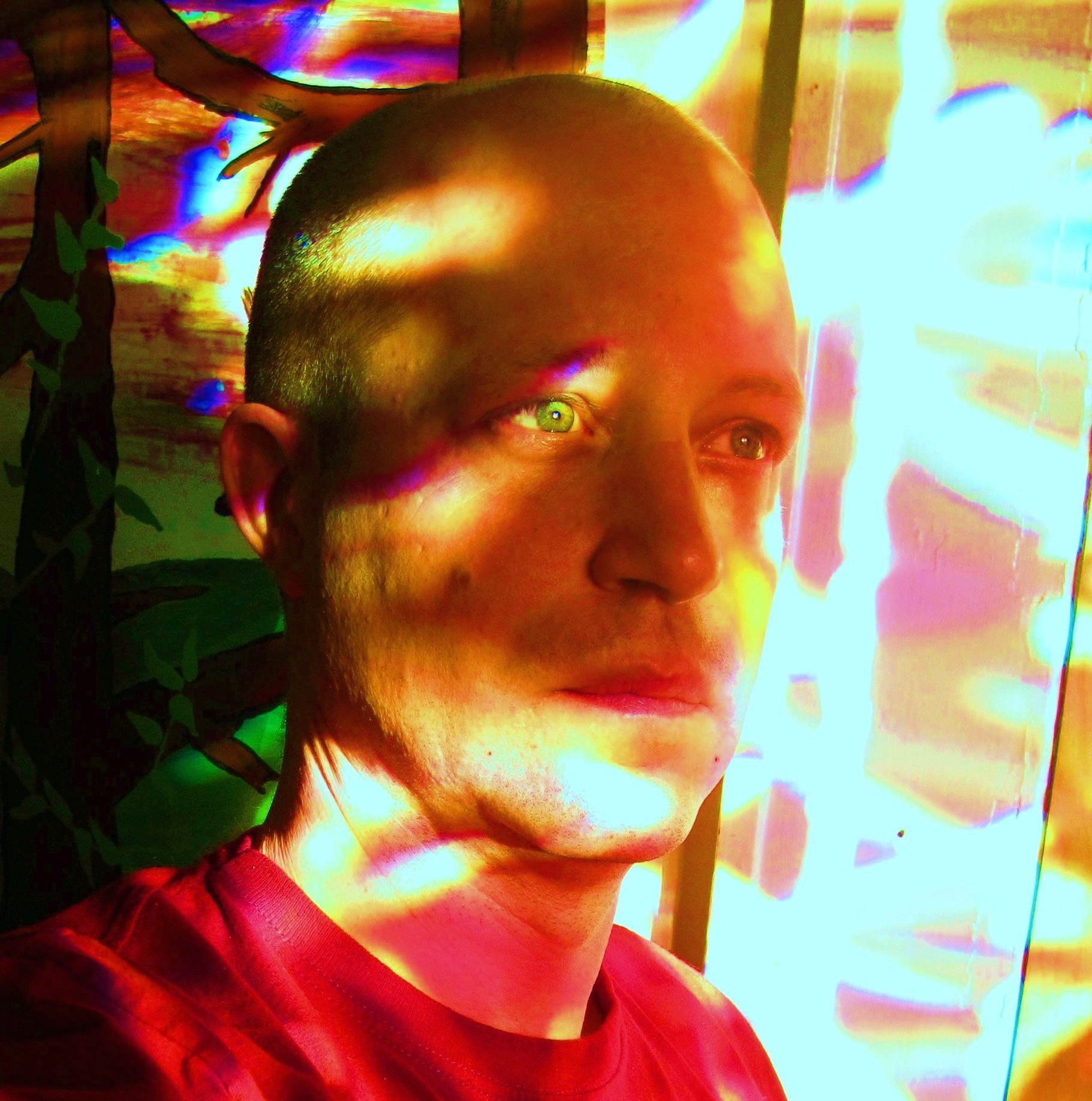 olen in a window.jpg